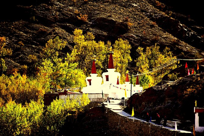 Ladakh Sham Valley Trek - Trek Overview