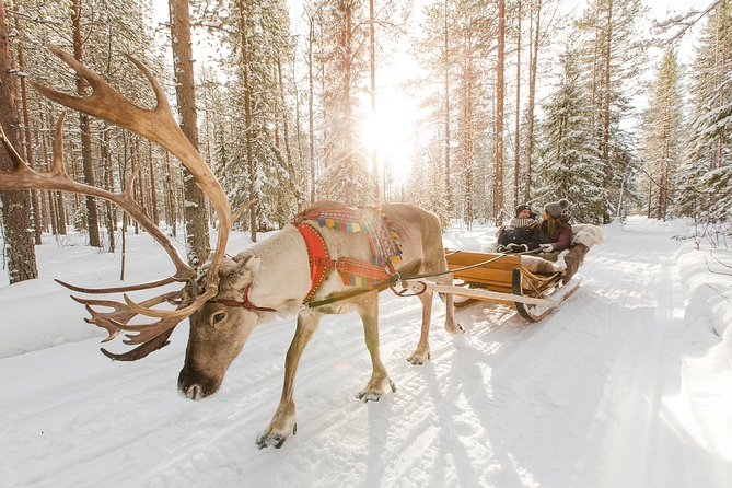 Lapland Reindeer and Husky Safari From Rovaniemi - Overview and Itinerary