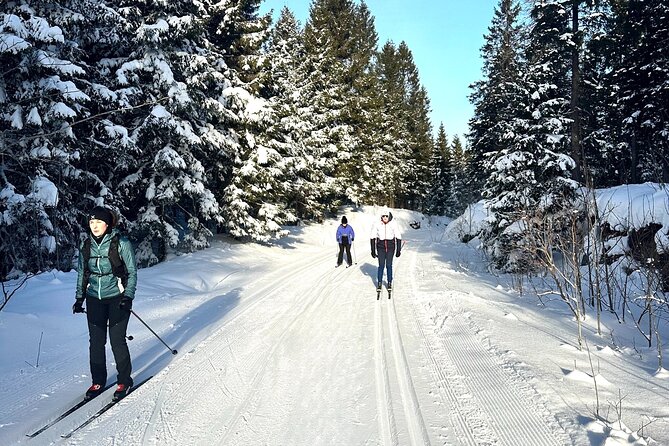 Learn Nordic Skiing - Private Class With Professional Instructor - Pricing and Booking Details