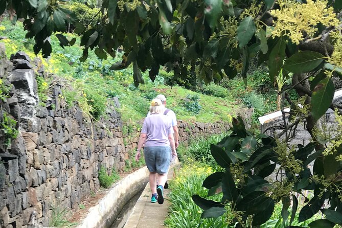 Levada Do Moinho and Levada Nova - Private - Private Tour Overview