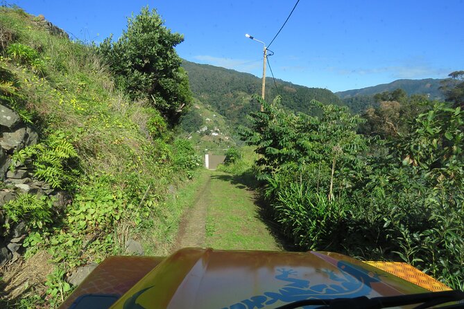 Local Farmers Market and 4WD Experience From Funchal - Experience Details