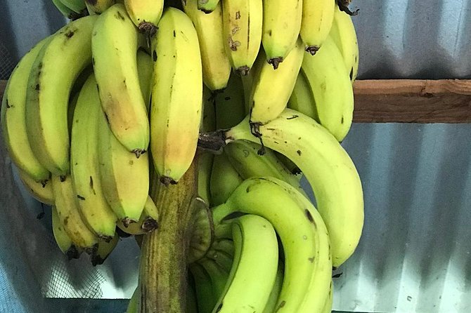 Local Food Tour and Local Fields - Reviews and Ratings