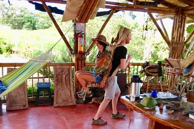 On the lookout for the Howler Monkey in Beards - Bremen - Traveler Insights