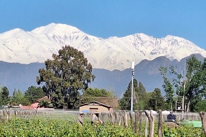 LUJAN De CUYO Premium Wineries With PRIVATE DRIVER - Tour Highlights