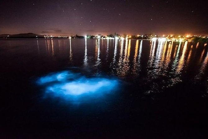 Luminous Lagoon From Runaway Bay - Reviews Overview