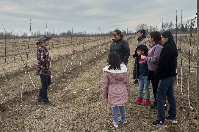 Lunch and Tour of an Apple Orchard With a Farmer in Elyria - Tour Details