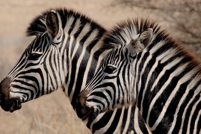 Luxury 5-Day Lesotho, Drakensberg & Safari Tour From Durban - Meeting and Pickup Details