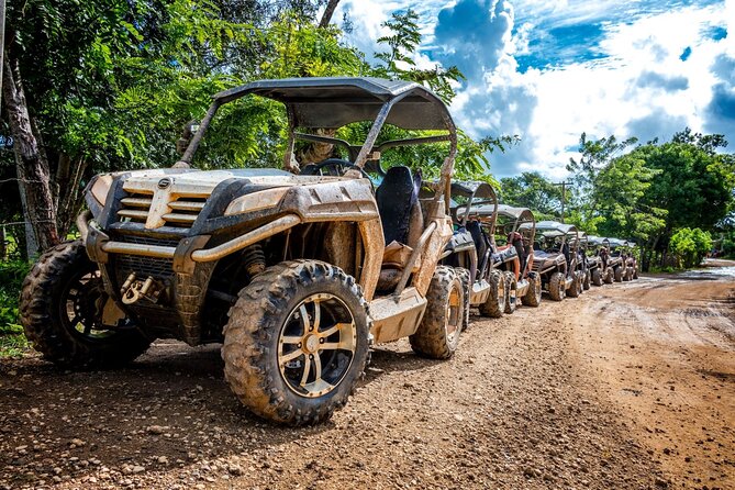 Macao Beach Buggy Safari & Cenote Swimming - Booking Information
