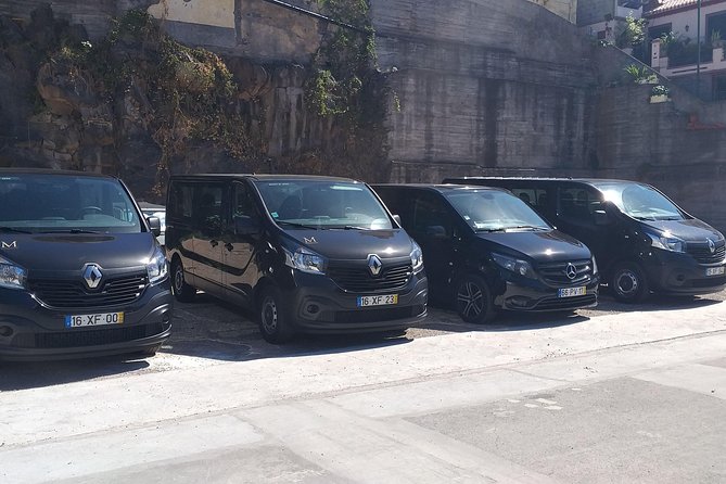 Madeira Airport Transfer for up to 8 People - What to Expect