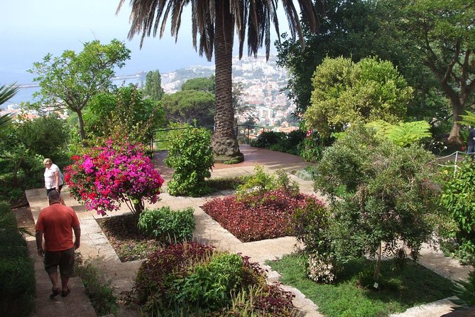 Madeira Botanical Garden: Private Tour With Round-Trip Tuk-Tuk  - Funchal - Tour Details
