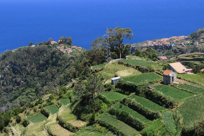 Madeira Highlights: Guided 4-Hour Tour From Funchal - Personal Guided Experience