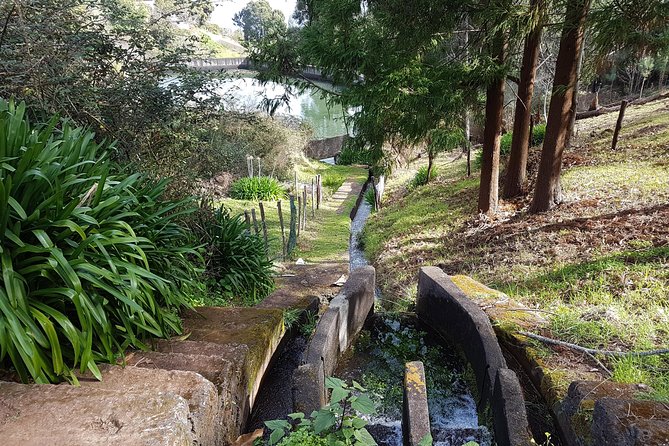Madeira: Private Camacha Levada Do Tornos Walk - Overview of the Camacha Levada Do Tornos Walk