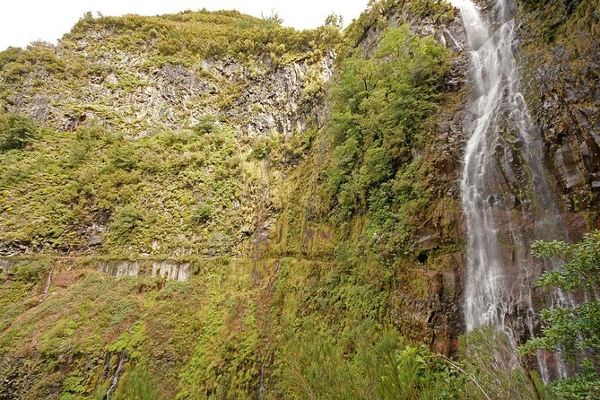Madeira: Private Guided Levada Do Risco Hiking Tour Half-Day - Pricing and Booking Details