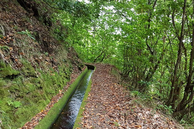 Madeira: Private Guided Levada Dos Tornos Boaventura Hike - Pricing and Booking