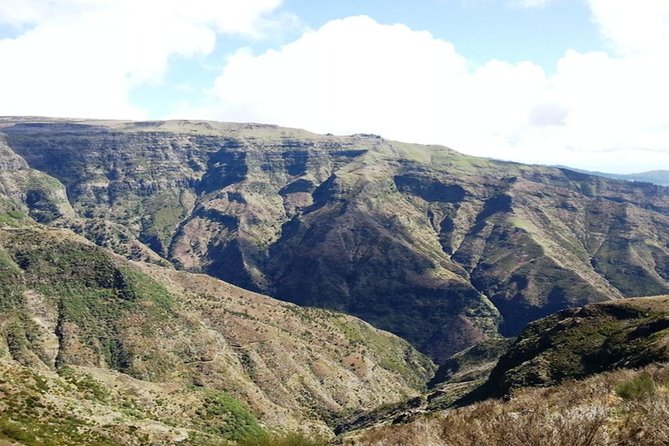 Madeira: Private Guided Walk Levada Do Paul - Tour Highlights