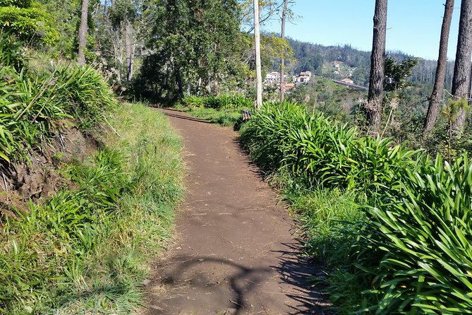 Madeira Vale Do Paraíso Day Walking Tour - Tour Overview and Highlights