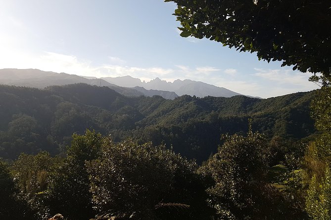 Madeira: Vereda Das Funduras Private Walking Tour PR5 - Pricing and Reservation Details