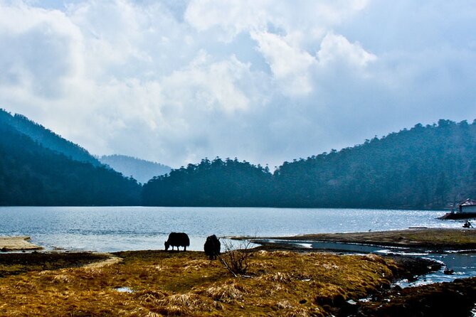 Magical Valley Old Silk Route Of Sikkim - Historical Significance of Old Silk Route