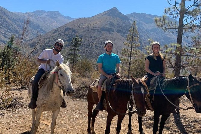 Maipo Canyon: Andes Mountains Horseback Ride and Wine Tour & Tasting - Tour Highlights