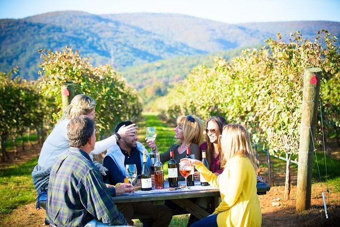 Maipo Valley Wine Tour With 4 Vineyards From Santiago. - Booking and Pickup Information