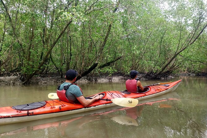 Mangrove, Beaches and Islands by Kayak Tour - Good To Know