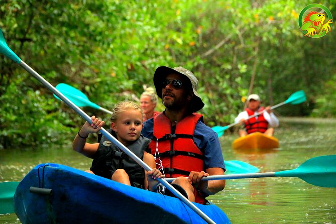 Mangrove Damas Island Kayak Tours - Tour Details