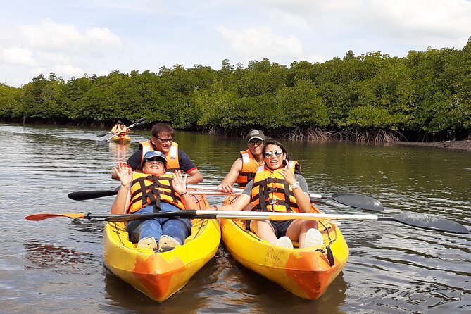 Mangroves Kayaking At Havelock - Activity Overview