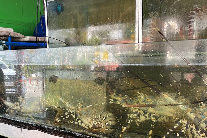 Manila Seafood Experience Market to Table - Manila Seafood Market Exploration
