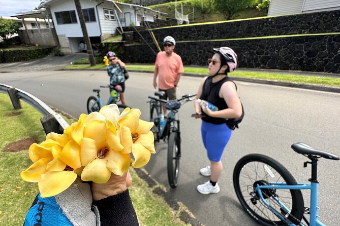 Manoa Falls-Electric Bike to Hike Experience Local Meal Included - Overview of Manoa Falls-Electric Bike Experience