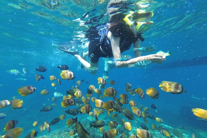 Manta Point Snorkeling Nusa Penida Tour All Inclusive - Pricing and Booking
