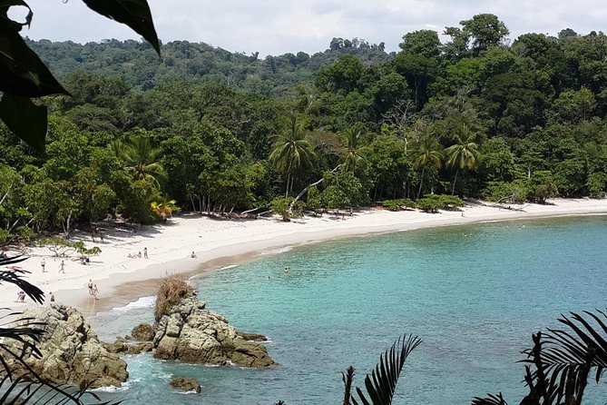 Manuel Antonio National Park Sightseeing and Wildlife Day Tour From San Jose - Overview and Tour Details