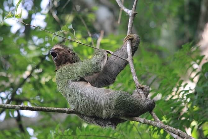 Manuel Antonio National Park Tour - Tour Details and Highlights