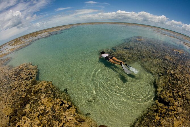 Maracajau From Natal - Pricing Details