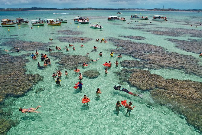 Maragogi - Maragogi Traveler Experience