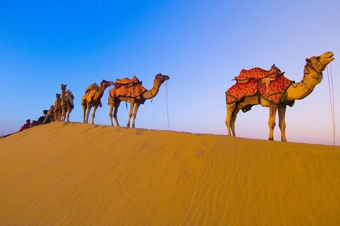 Marrakech to Merzouga 3-Day Desert Safari - Itinerary Overview
