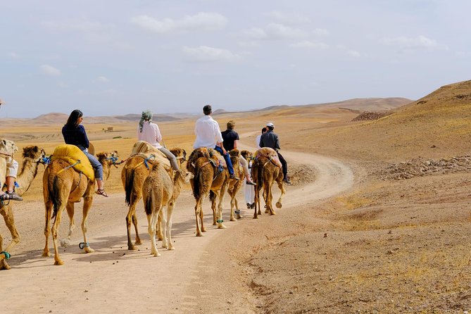 Marrakesh Day Trip From Casablanca With Camel Ride And Lunch At Agafay Desert - Private Tour to Marrakech and Agafay Desert