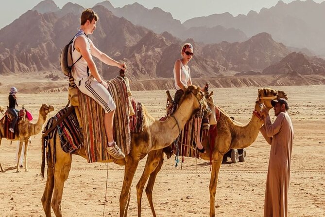 Marsa Alam Super Safari Quad Biking & Bedouin Culture Thrills - Review Highlights