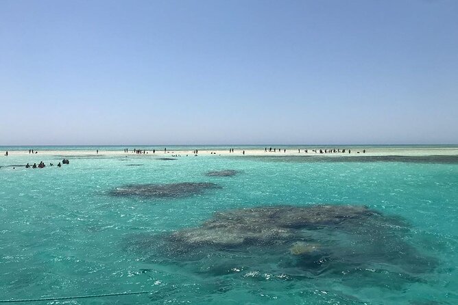 Marsa Mubarak Snorkeling With Dugong and Turtles - Snorkeling Experience at Marsa Mubarak