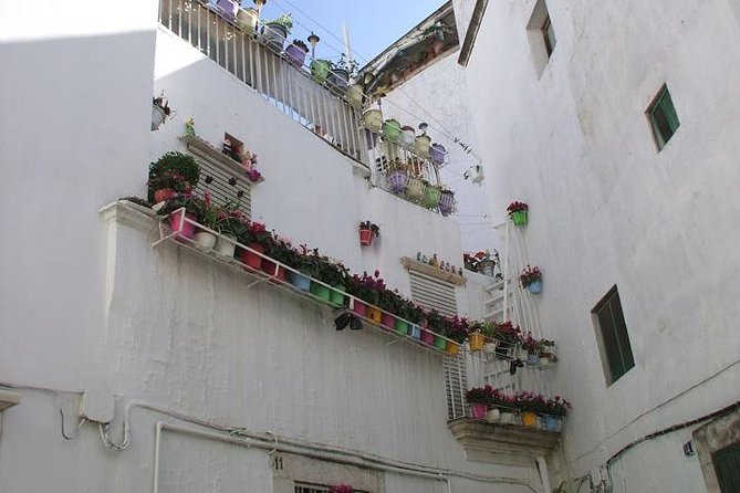 Martina Franca: a Gem Among Baroque and Rococo Style With Bocconotti Tasting - Tour Highlights