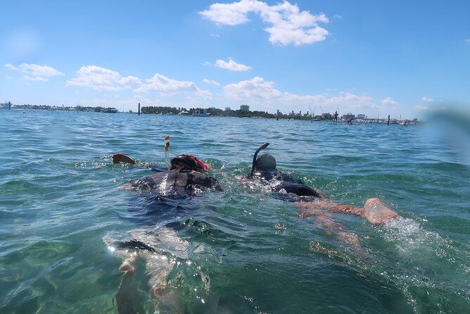Master Snorkeling Experience Atlantic Ocean Marine Life Upclose - Essential Snorkeling Gear to Bring