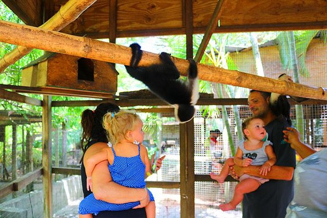 Mayan Jungle Zipline, Monkey & Sloths, City Tour & Private Vehicle - Tour Highlights