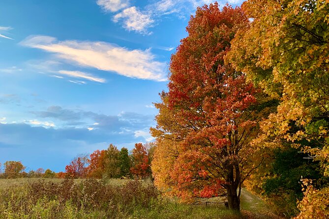 Maybury State Park Guided Hiking and Trail Running Trips - Park Overview