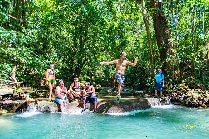Mayfield Falls Private Tour - Price and Booking Details