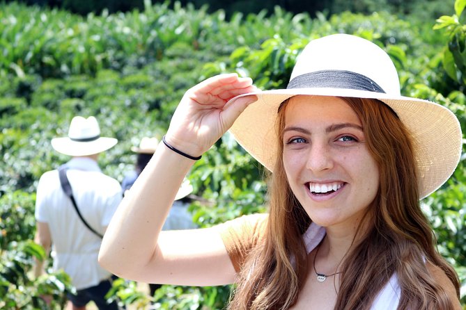 Medellín Hands-on Coffee Tour - Tour Overview