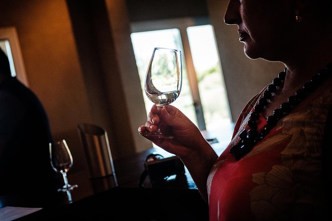 Mendoza to Maipu Wineries: Wine Tasting Group Tour With Lunch  - Mendoza Province - Tour Details