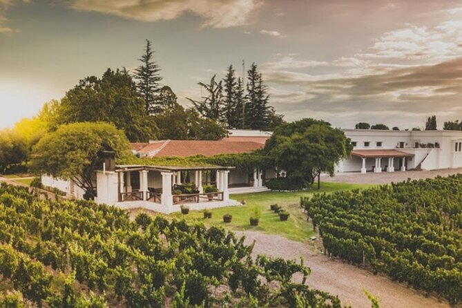 Mendoza Wine Tour With Lunch - Traveler Photos and Reviews