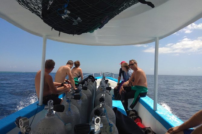 Menjangan Island Snorkeling Full Day Boat Trip - Overview and Activities