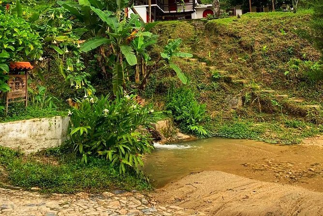 Minca - Coffee And Cocoa Tour - Tour Overview