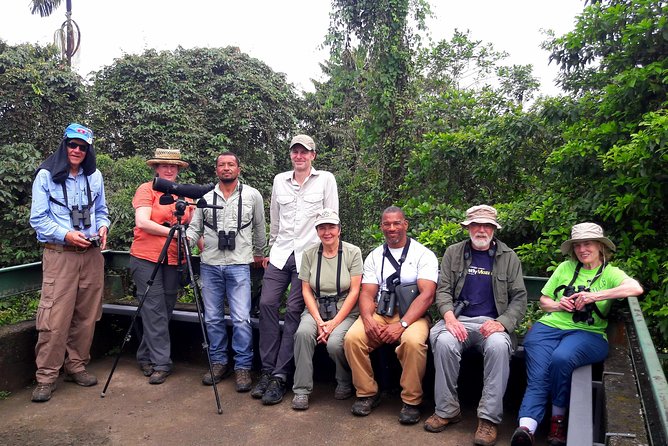 Mindo Half Day Birding Experience - Overview and Experience