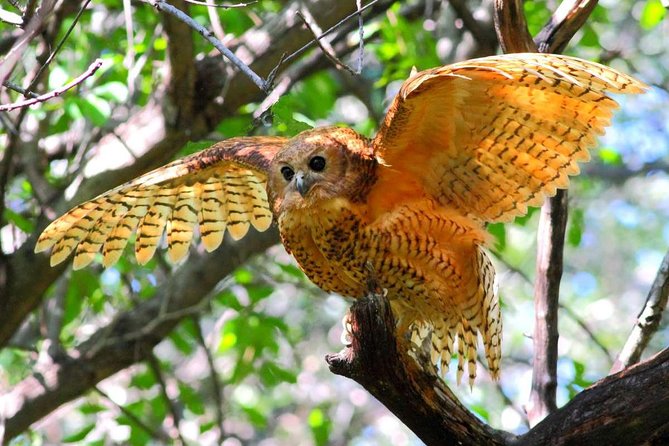 Mkuze River Bird Walk - Overview of the Mkuze River Bird Walk